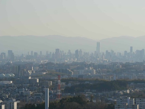 20260109彩都 (45)