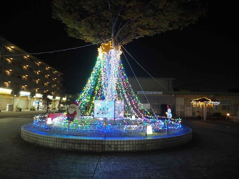 20231115富田団地イルミ (1)