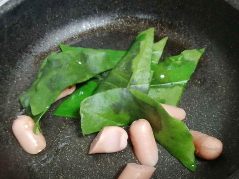 20230727オカワカメ (1)