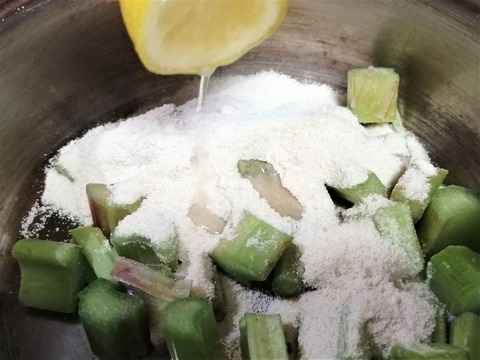 20230706ルバーブ (5)