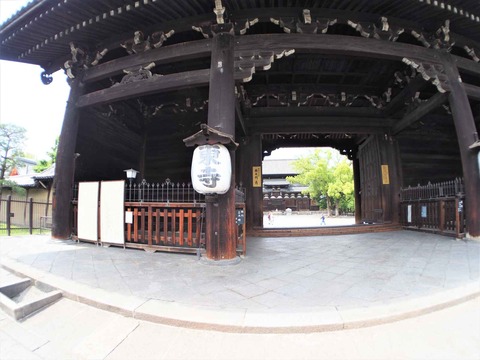 20230616東寺 (47)