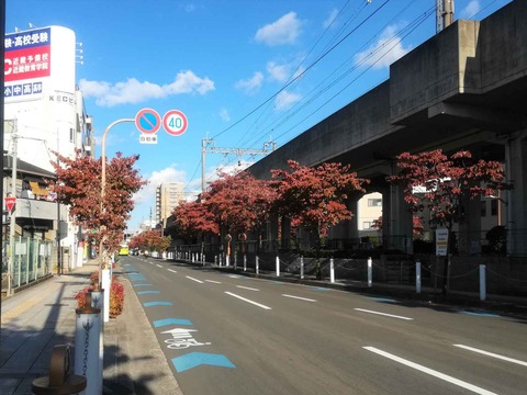 202110紅葉 (9)