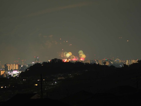 20220827なにわ淀川花火 (65)