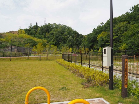 20230528金龍寺川公園 (3)