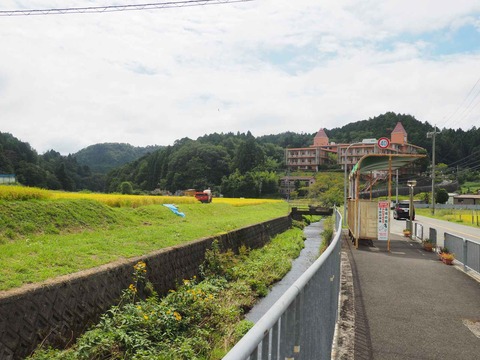 20220910樫田稲刈り (2)