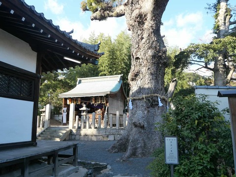 20250101畑山神社 (10)