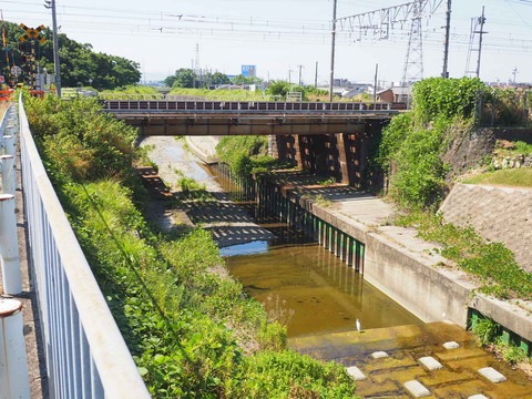 20220702檜尾川鉄橋 (1)