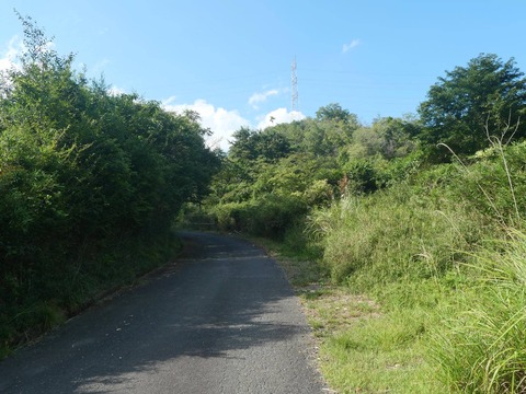 20260901樫田中畑 (20)