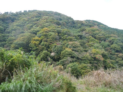 20251102府道6号紅葉 (70)