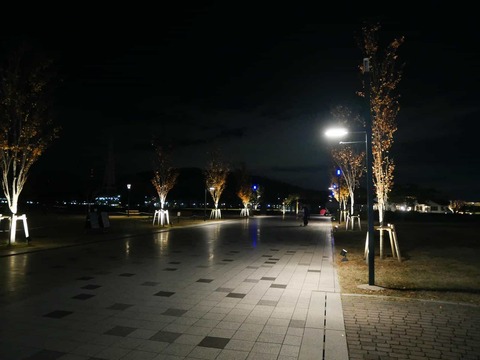 20241130安満遺跡公園 (7)