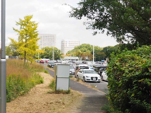 20221022万博記念公園 (1)
