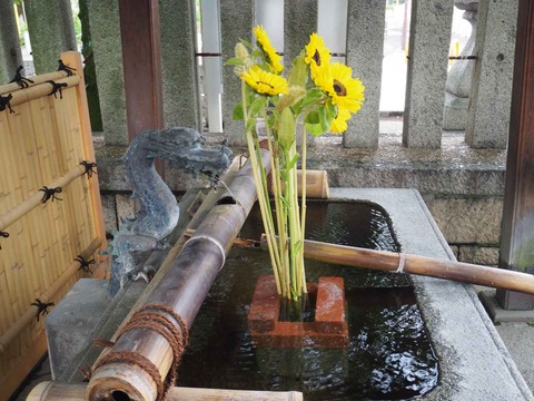 20220712野見神社 (2)