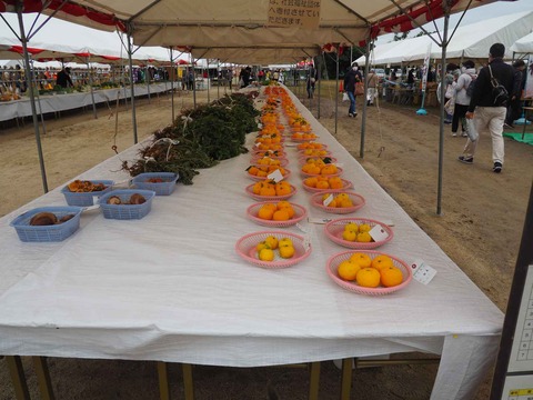 20231112農林業祭 (24)