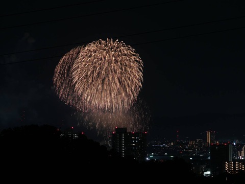 20240815くらわんか花火 (17)