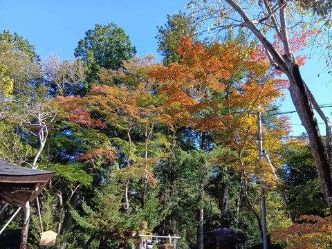 20251029神峯山寺 (21)