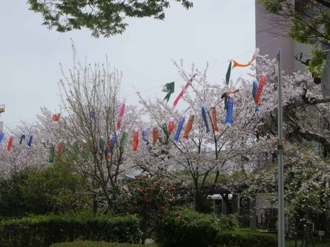 20260406玉川小学校 (16)