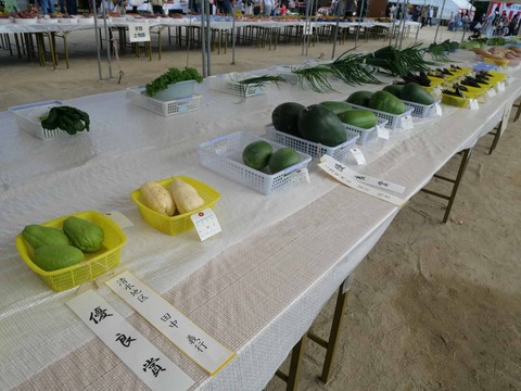 20241117農林業祭 (19)