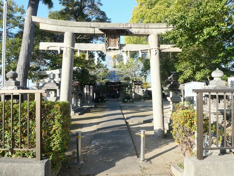 20250102郡家素戔嗚尊神社 (18)