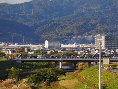 20211116芝生大橋歩道 (14)