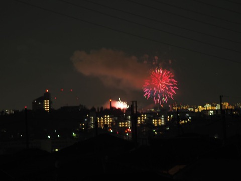 20221126万博花火 (17)