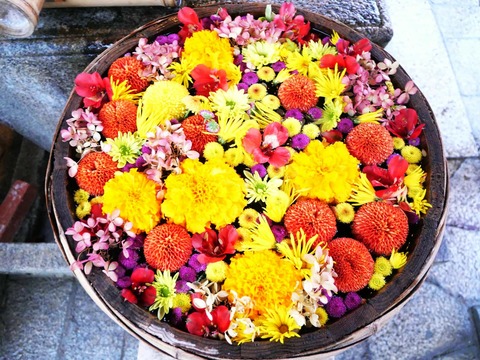 20241126野見神社 (3)