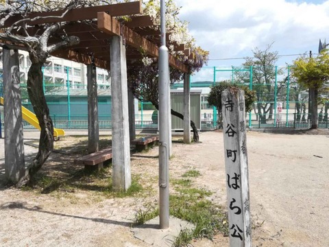 20230417芝谷町 (3)