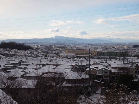 20230125朝 (6)