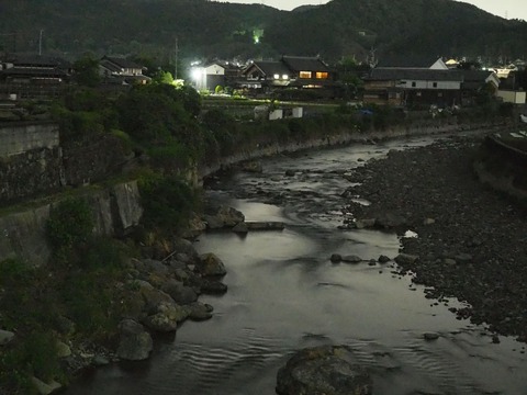 20230521ホタル (20)