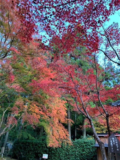 20221117神峯山寺 (12)