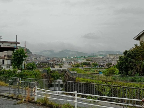 20250509ポンポン山 (2)