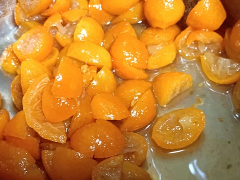 20250411キンカン (4)