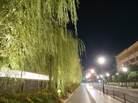 20250909芸術文化劇場 (5)