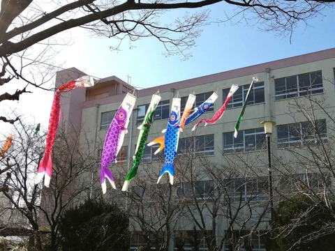 20240327玉川小学校 (6)
