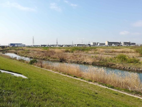 20200404sinkawa1