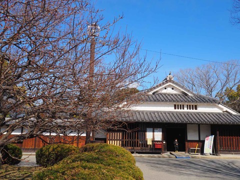 20220214高槻城公園 (8)