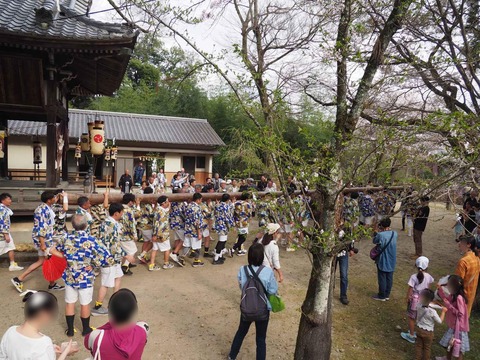 20240407大蛇祭り (150)