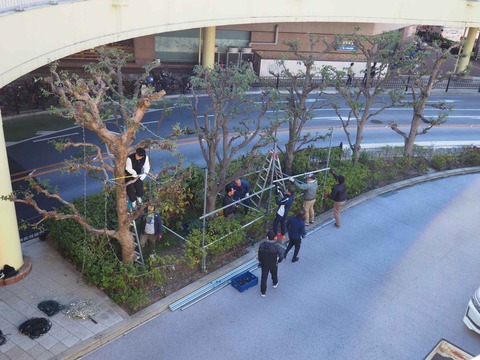 20231125高槻駅イルミ (3)