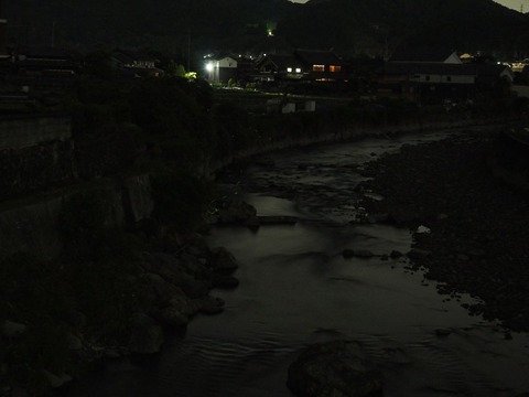 20230521ホタル (14)
