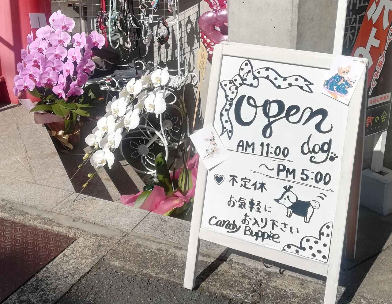 天神町 Candy Buppieというお店ができてる 子供服と犬服のお店 : 高槻