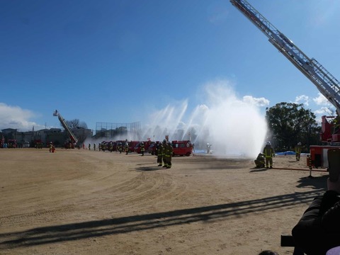 20260111高槻市消防出初式 (233)