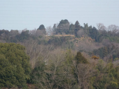 高槻市の歴史クイズ その4 織田信長 豊臣秀吉 徳川家康 高槻に来たことがある人はだれ どのくらいいた いつころ 高槻network新聞
