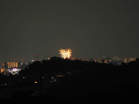 20220827なにわ淀川花火 (123)