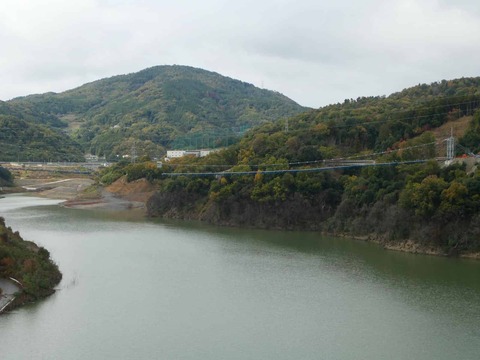 20241124吊り橋 (2)