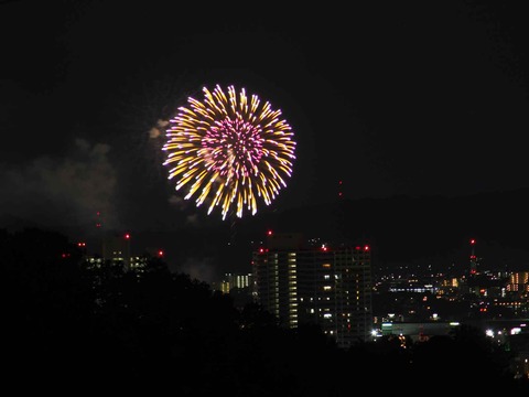 20230917水都くらわんか (19)