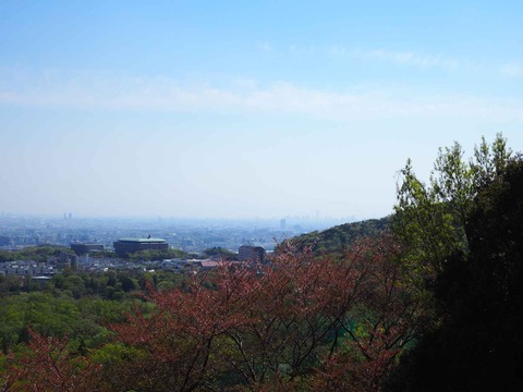 20230409関西大学 (21)
