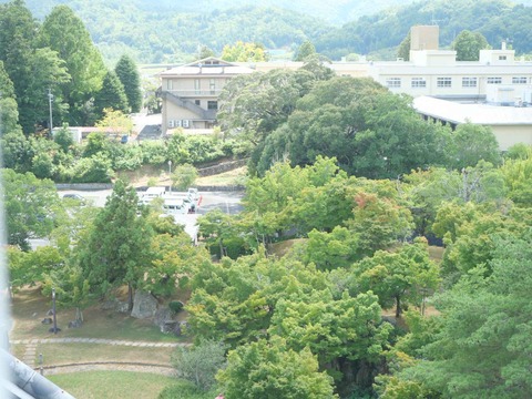 20240818園田城 (71)