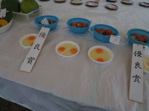 20231112農林業祭 (33)