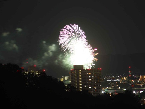 20230917水都くらわんか (6)