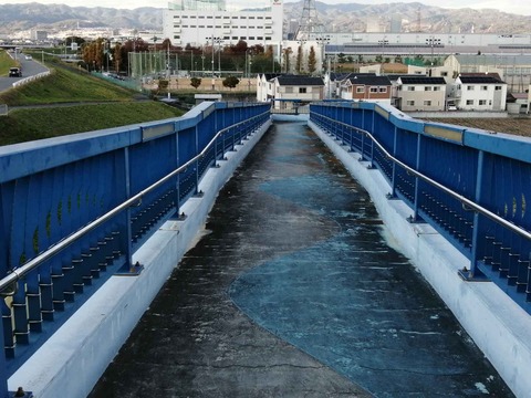 20211116芝生大橋歩道 (5)