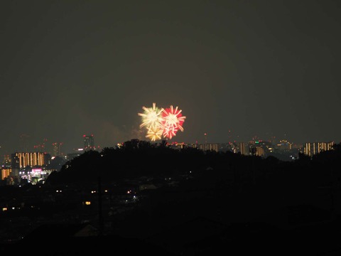 20220827なにわ淀川花火 (115)